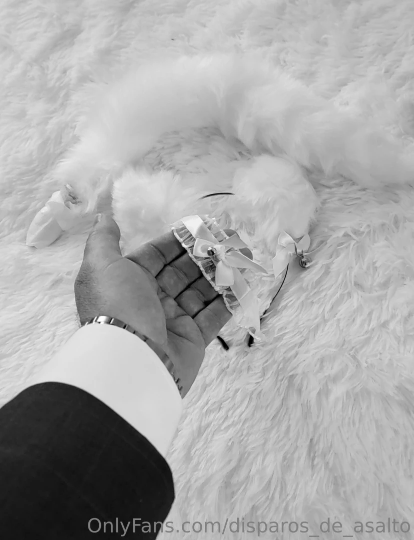 Stay tuned kitten will be crowned next week you don t want to miss 