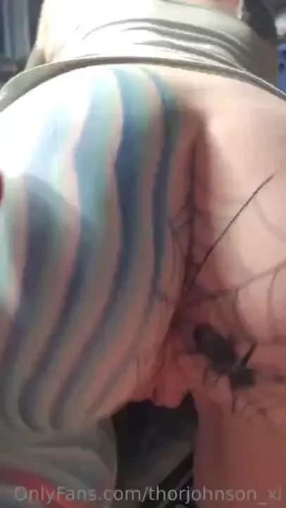 Spider wants some of thor 