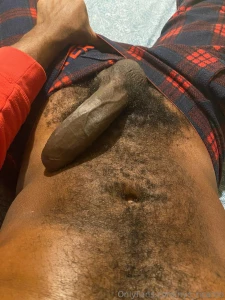 Morning wood part 226