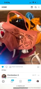 These are the panties 50 wear them 24 hours u get a video as well mail
