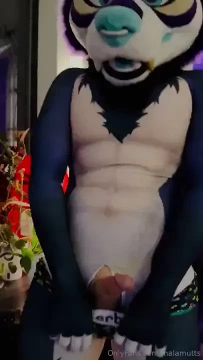This big dog can t help but show off his bone there s a lot of content 