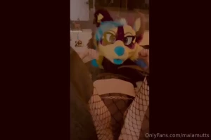 Here s what i like to call the puppygirl gf experience fun little idea