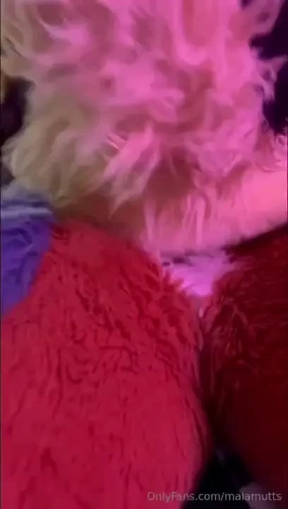 We heard you wanted more fullsuit content so we answered heres a 