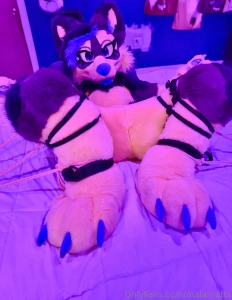 Someone got a little tied up last night