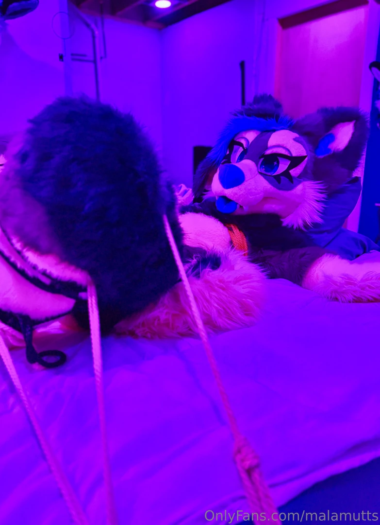 Someone got a little tied up last night part 1 