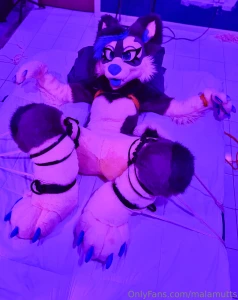 Someone got a little tied up last night part 2