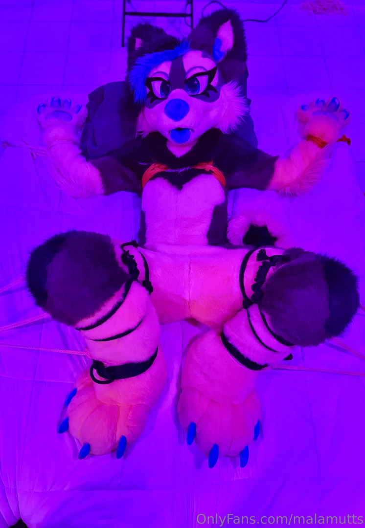Someone got a little tied up last night part 3 