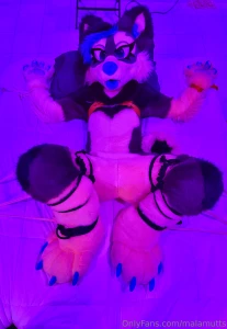 Someone got a little tied up last night part 3