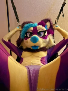 Phoenix just got a new petsuit and wants to break it could you could part 2