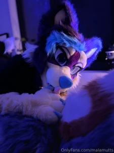 You know what bunnies do well right seems like phoenix had a friend part 2