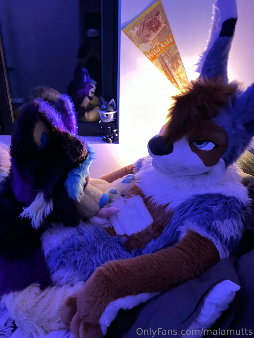 You know what bunnies do well right seems like phoenix had a friend 