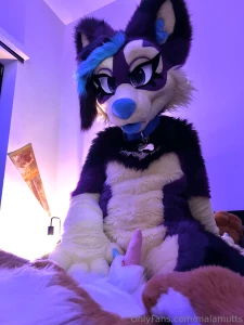 You know what bunnies do well right seems like phoenix had a friend part 4
