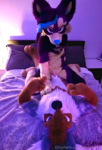 You know what bunnies do well right seems like phoenix had a friend part 1