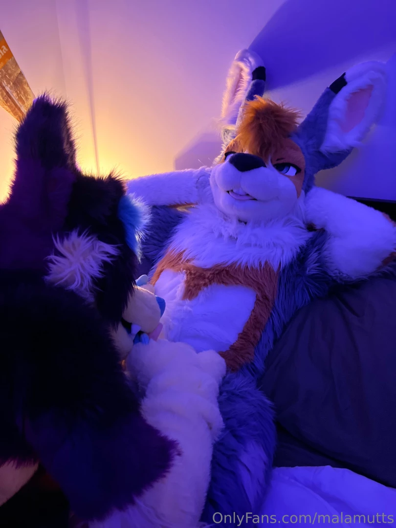 You know what bunnies do well right seems like phoenix had a friend part 3 