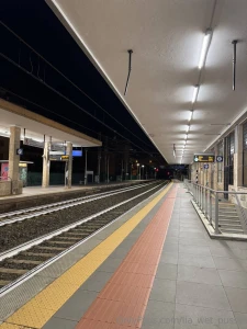 For the first time in milan they bought tickets with a friend and