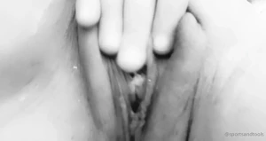 Black and grey kitty