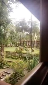 Hii from bali