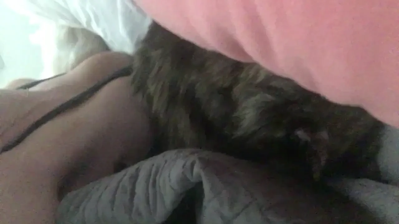 How i woke up this am 