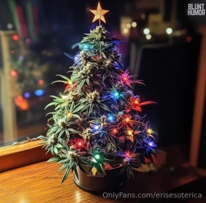 Happy holidaze part 47