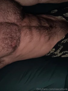 Do you like my hairy chest be honest