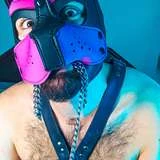 puppybearcub