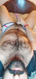 Wood morning part 285