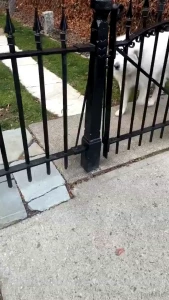 Wonderful dogs make me so unbelievably happy