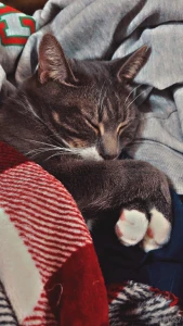 Merry christmas from bill murray and i to you and yours