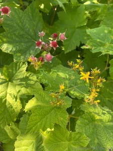 A few pics from seattle definitely more to come babes part 5