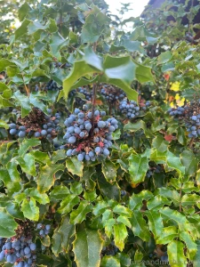 A few pics from seattle definitely more to come babes