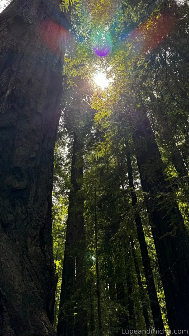 As you guys know we ve been making our way down the coastline this is 