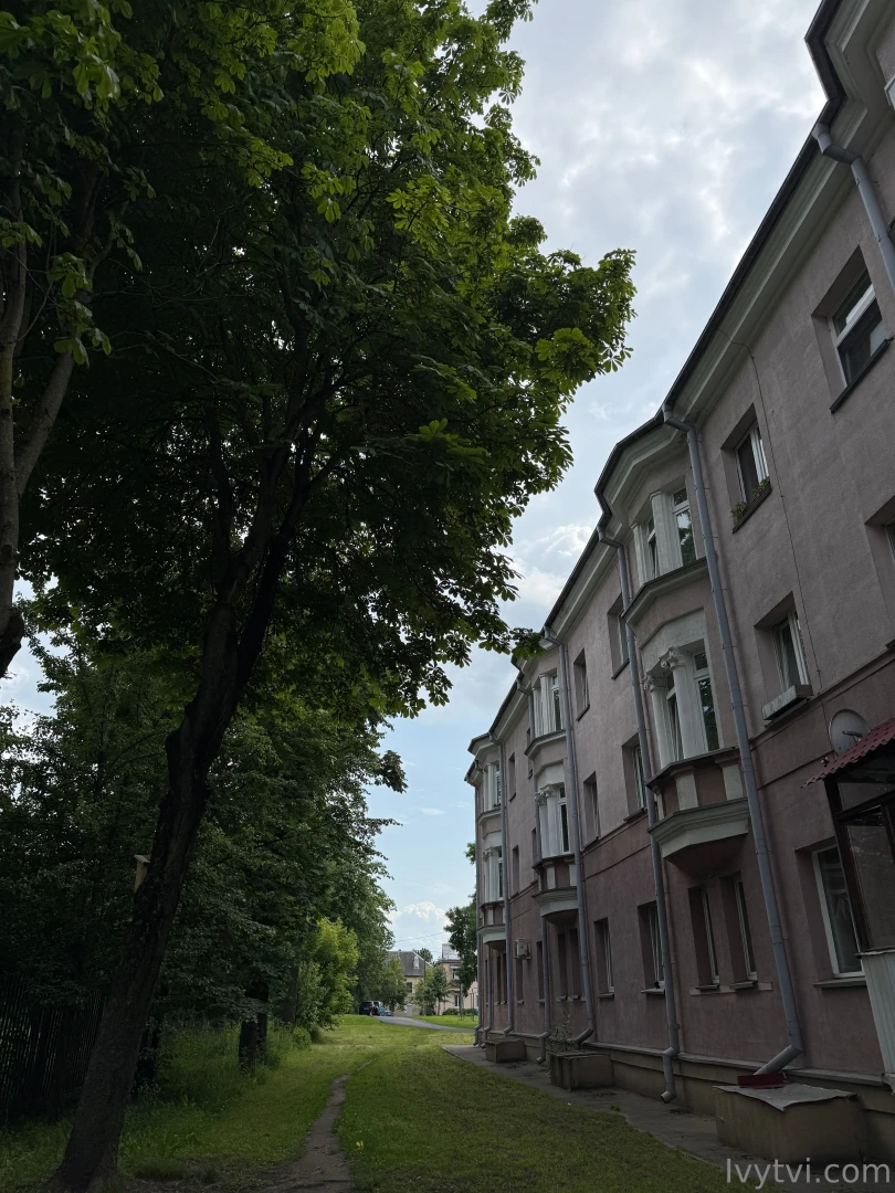 What s going on in the world the crisis the climate movies and i have 