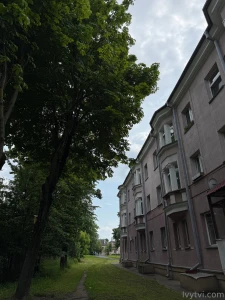 What s going on in the world the crisis the climate movies and i have