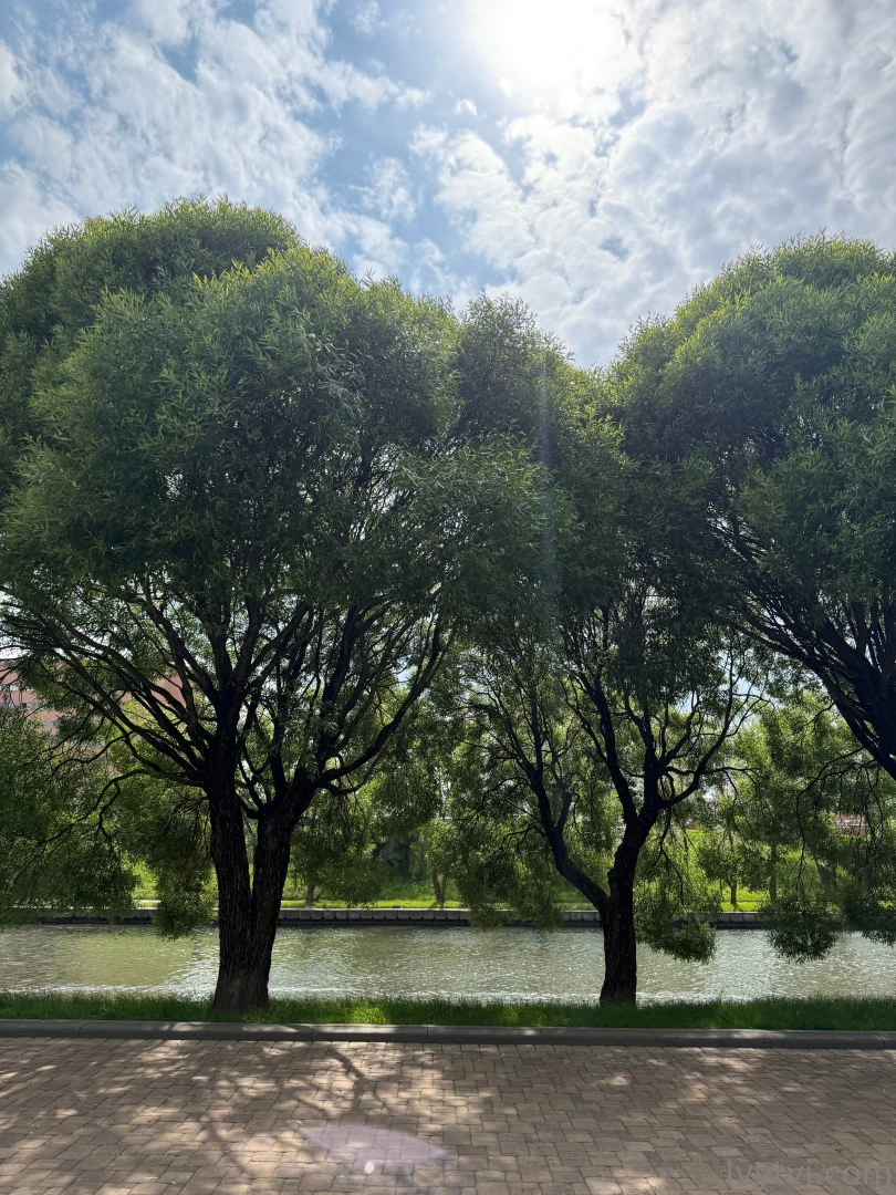 Looking up at the sky listening to the birds feeling the ground 