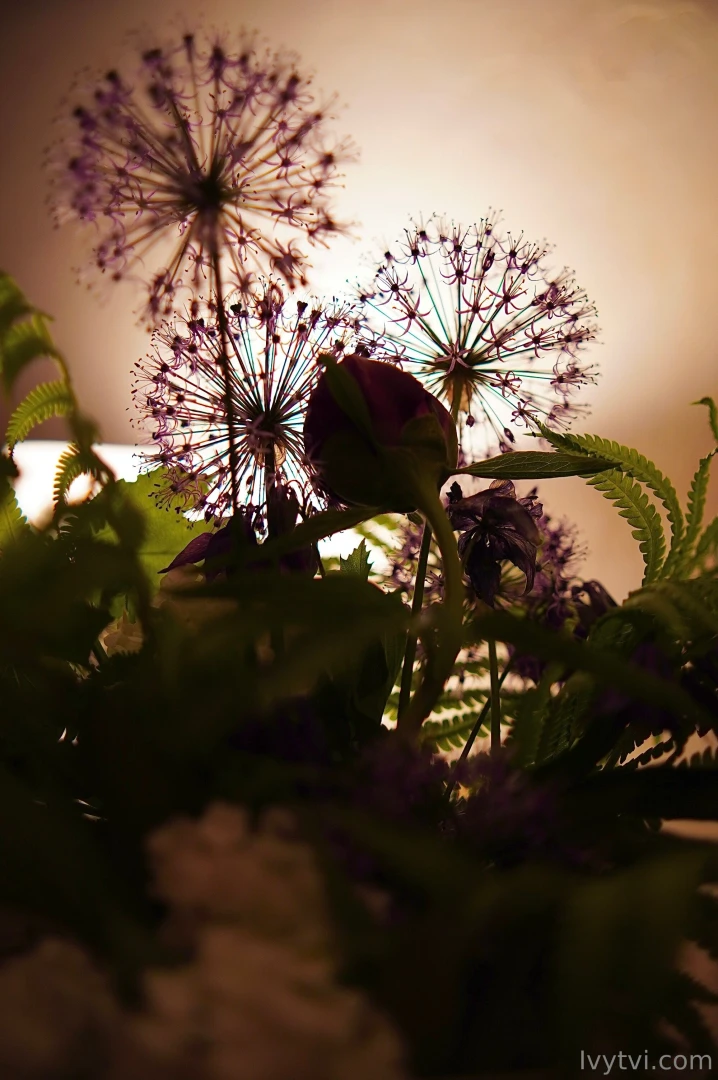 Sometimes a woman s reflection is not a weakness it s an inner 