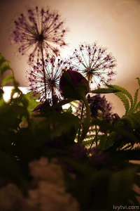 Sometimes a woman s reflection is not a weakness it s an inner