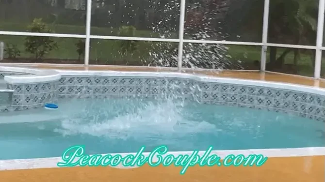 Cumming attractions part 14 