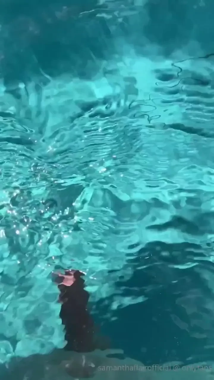 Dangerous creature in the water 