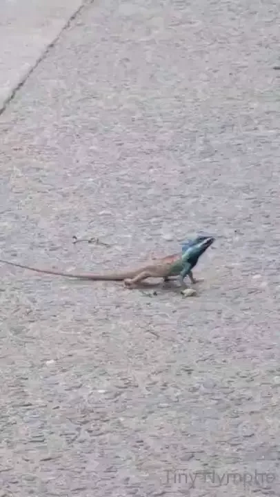 Wow red dress win sunday funday i guess you like that dress but have part 19 