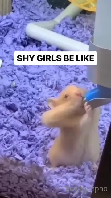 Funday sunday extra but no kinky stuff pictures from outside today and part 12 