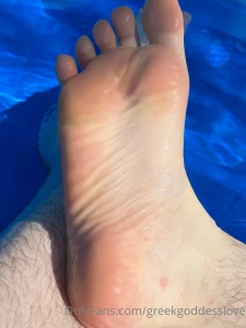 Wet hairy play time in the pool today