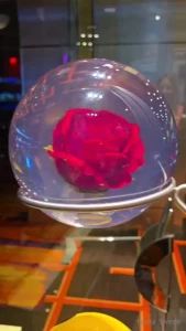 I really want this first one to get it for me will get it two minute