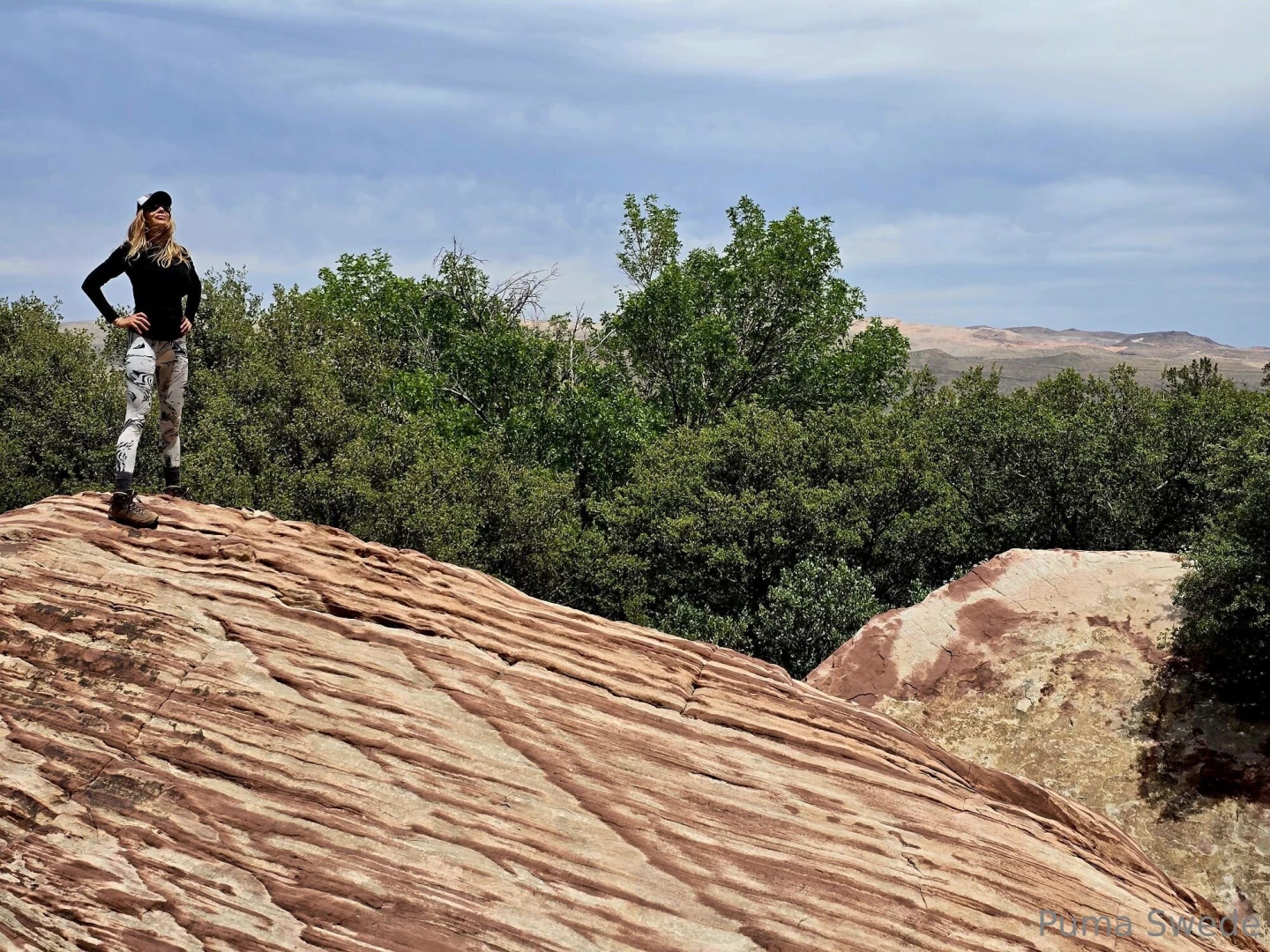 Is it a mountain lion or a puma haha 