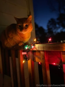 I love the holiday season part 7