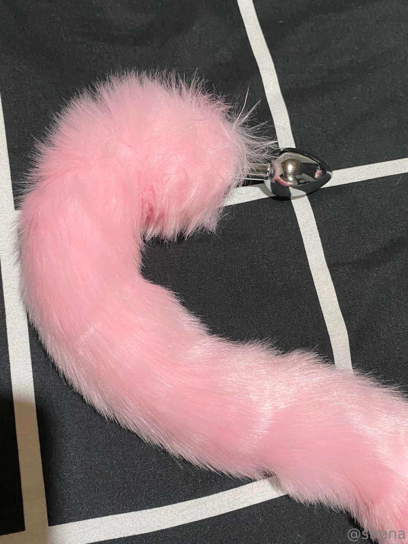 Would you like to see me insert this butt plug 