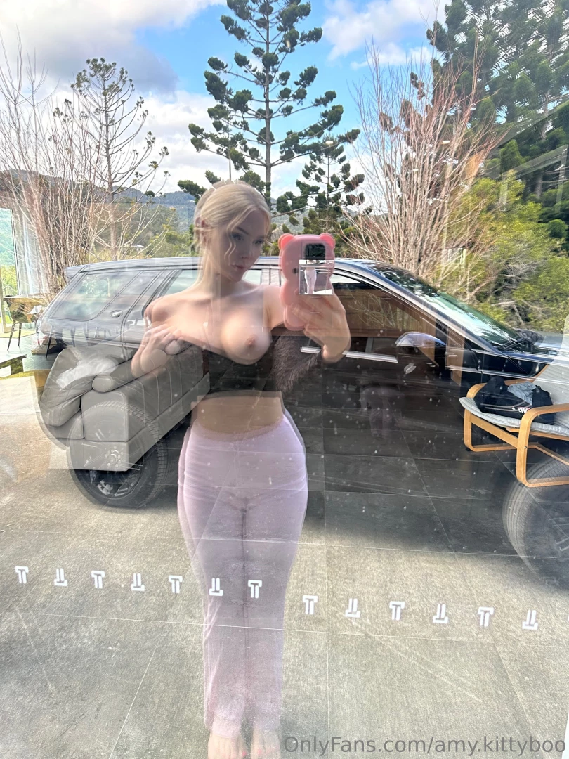 Who needs a passenger princess 