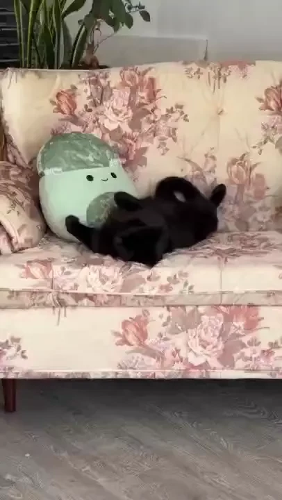 Life lately or semi lately check out ashtonfaye for my spicy content part 2 