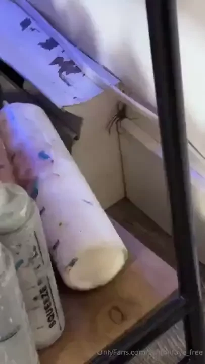 Life lately or semi lately check out ashtonfaye for my spicy content 