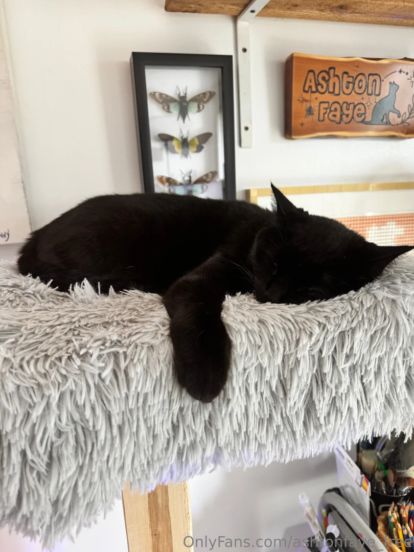 Camera roll dump check out all my spicy content ashtonfaye part 1 