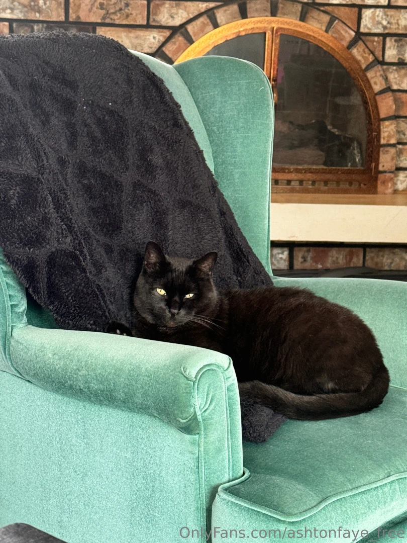 Giving that black cat energy check out my spicy content on ashtonfaye part 1 